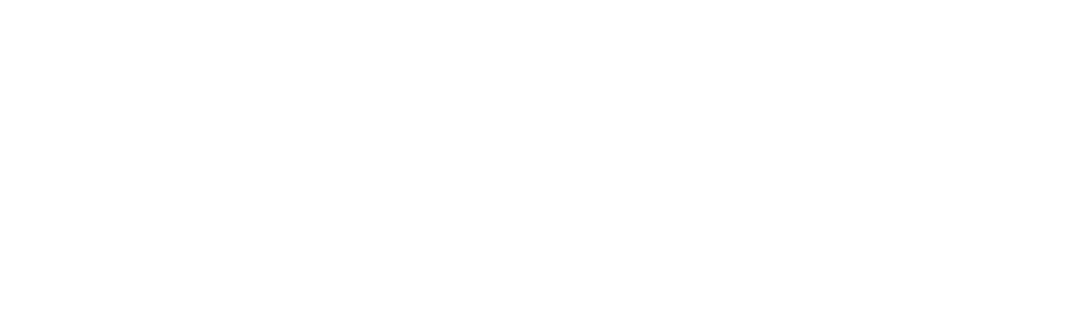 Logo CONEX